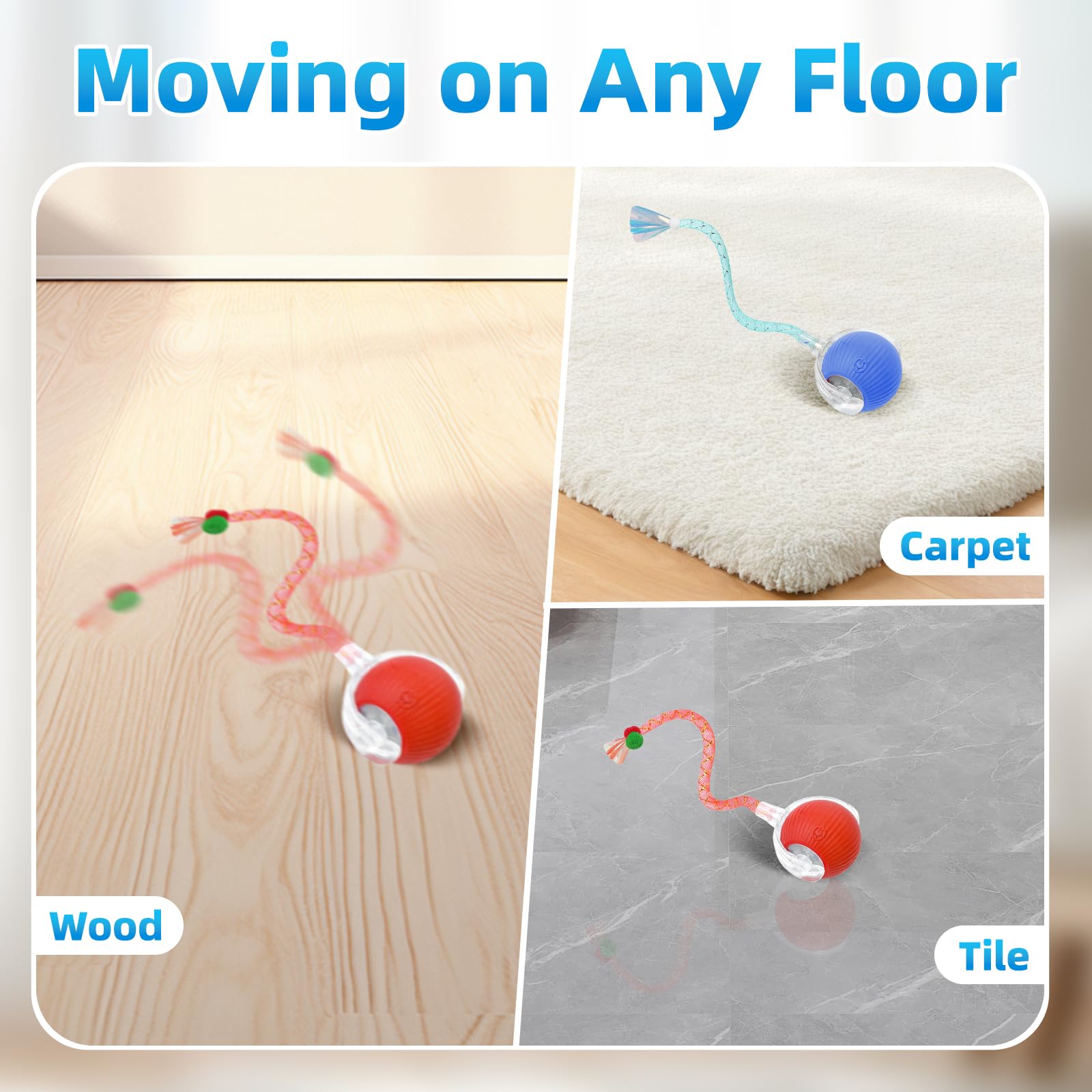View 6