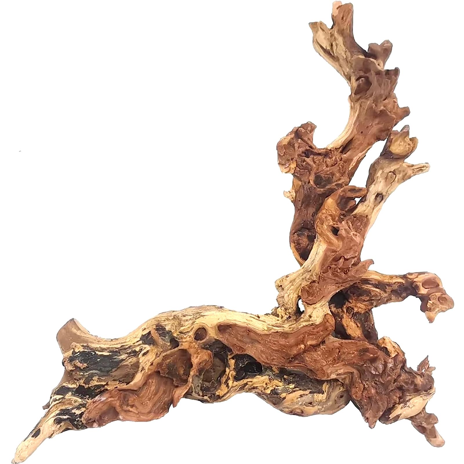 Hamiledyi Natural Large Coral Driftwood