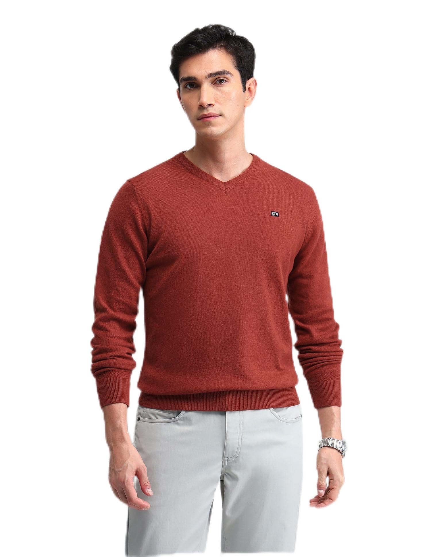 arrow sports Mens Orange Solid Long Sleeve Cotton Classic Pullover Sweater-picture-26