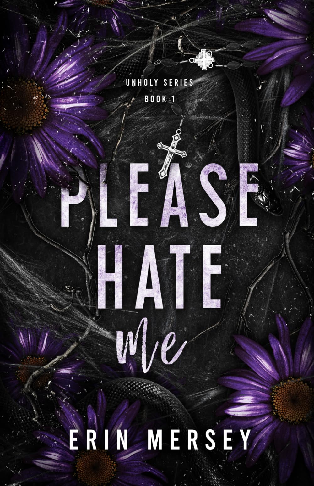 Please Hate Me: Unholy Series Book 1