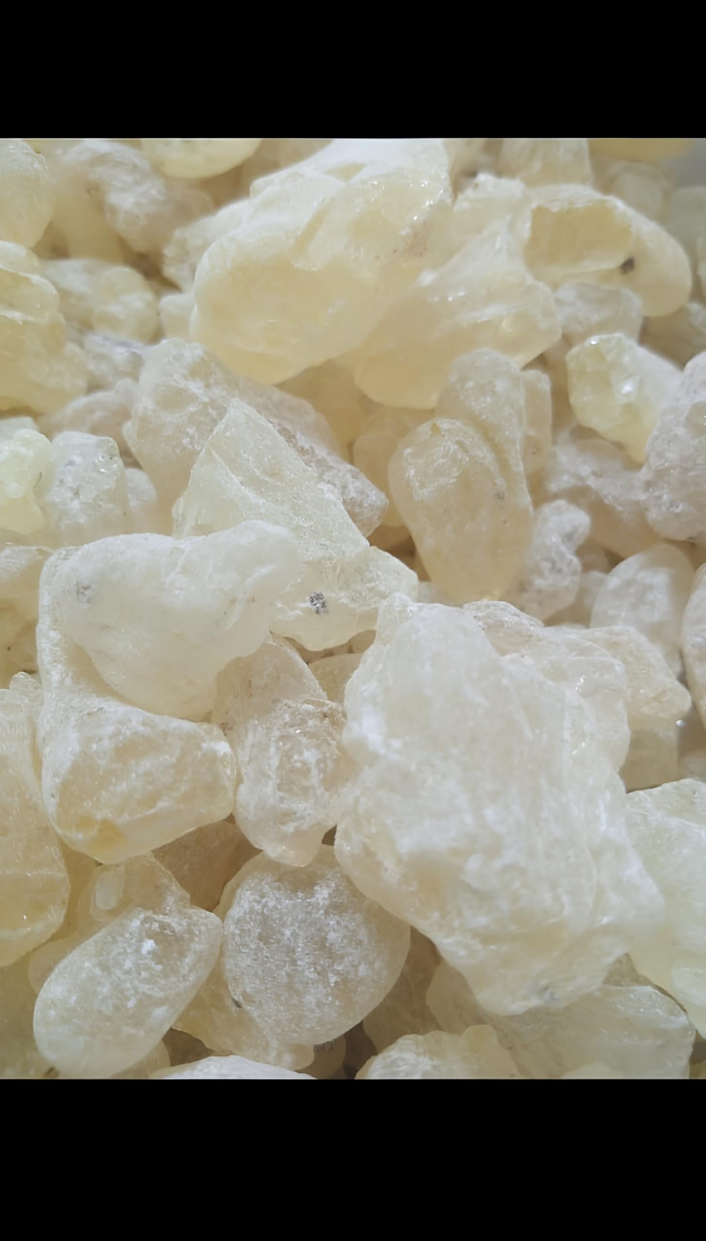 Pure Crystal White Guggul (Commiphora Mukul) is A Natural Resin Obtained from The Guggul Tree, Widely Used in Hindu Religious Rituals Including Dhoop, Dhuni, and Hawan (100GM)-picture-47