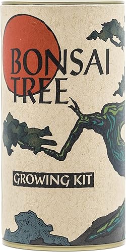 Árbol Bonsai | Enebro de las Montañas Rocosas | Kit de cultivo de semillas | The Jonsteen Company