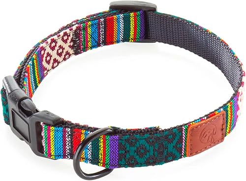Embark - Collar para perro urbano - Collar para perros medianos, pequeños y grandes., L