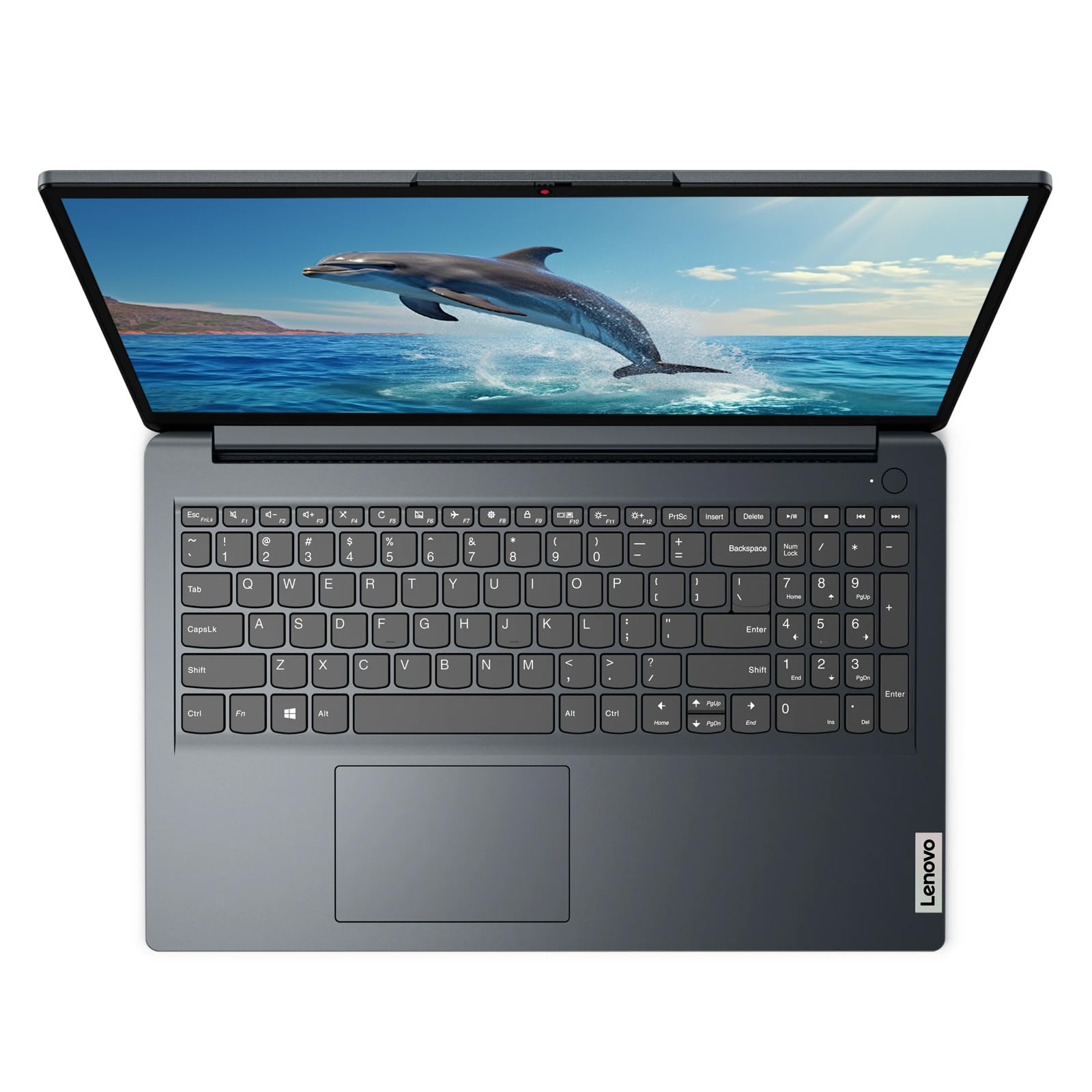 Amazon.com: Lenovo IdeaPad 1 15.6