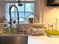 Review Image by Alexis Alexis