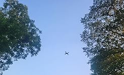 Review Image by Jay Mears Jay Mears