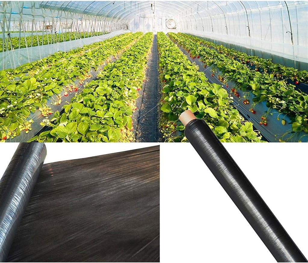 Mulch Film, Agricultural Black Plastic Mulching Film, Garden Weeds Control Biodegradable Film, 14micron Thickness Strawberry Tomato Plant Cover Mulch(1x30m)