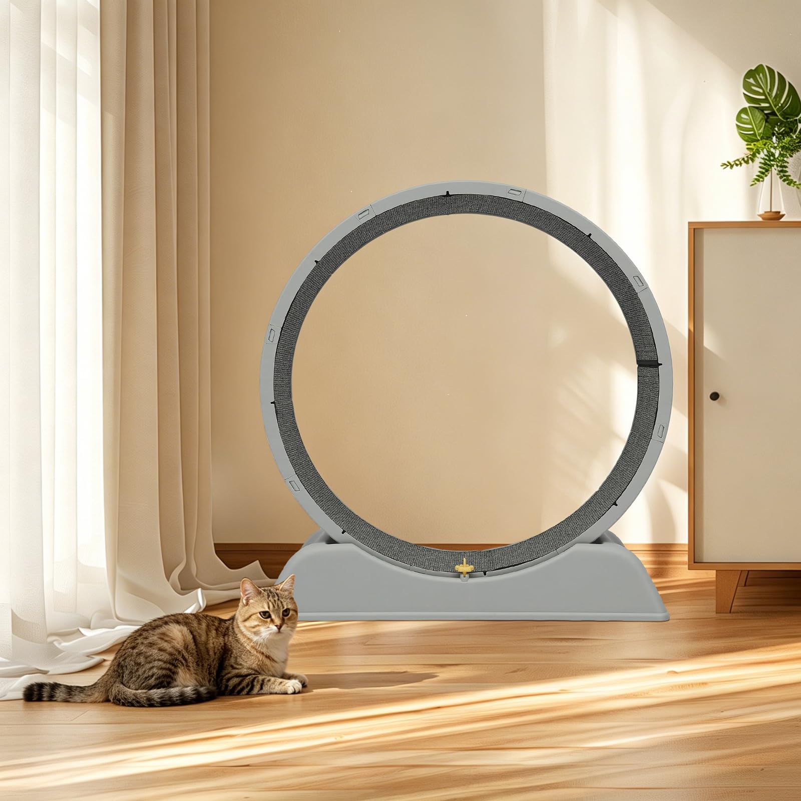 Rueda de 80 cm para gatos, juguete estable y silencioso, para perder peso y promover la salud, para correr y entrenar