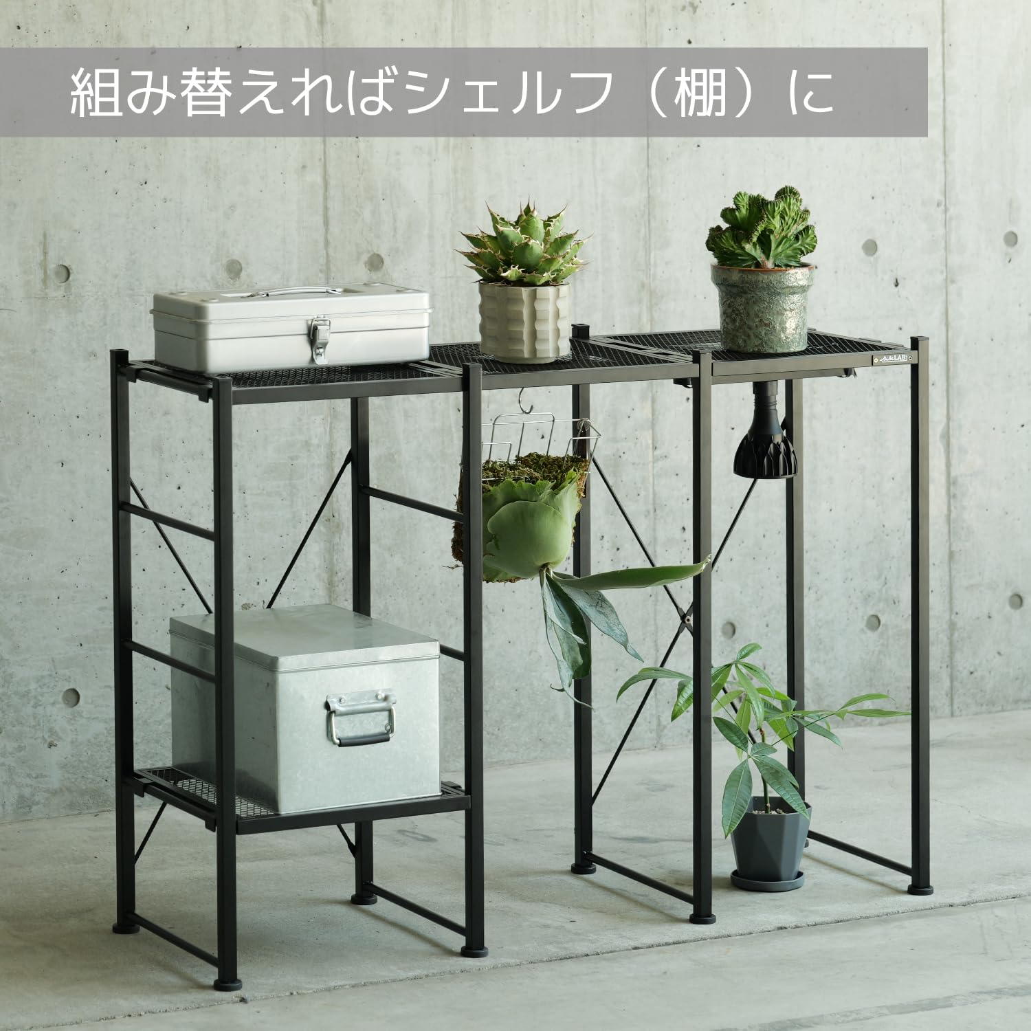 Amazon.co.jp: BIBILAB(ビビラボ) ビザールプランツラック スクエア