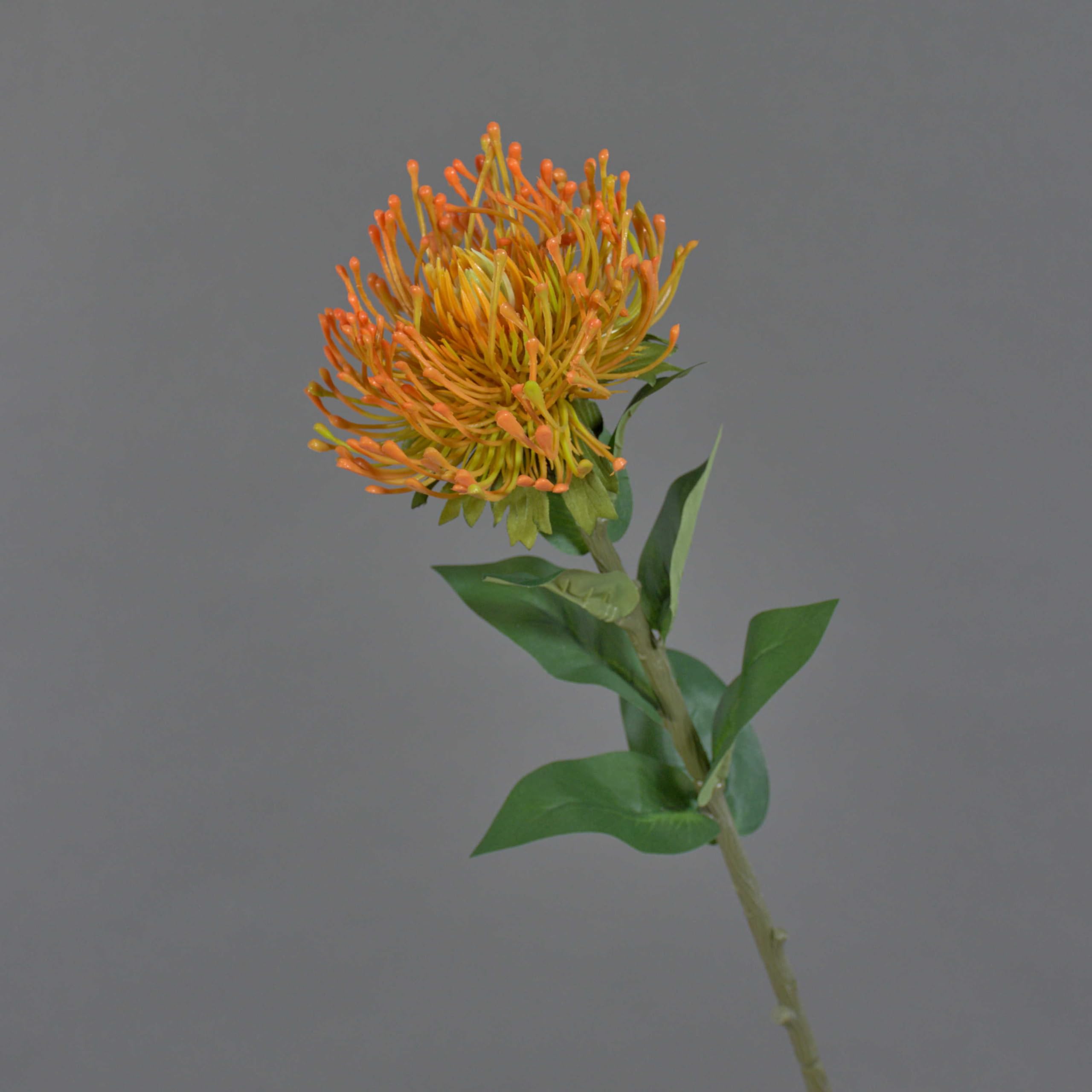 artplants.de Faux Protea HERVAS, orange, 70cm - Protea silk flower/Fake Sugarbushes