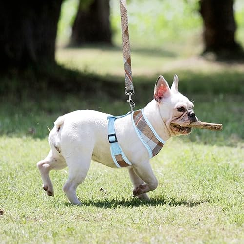 Miniatura 6 de Arnés de malla suave para perro chaleco acolchado cómodo para cachorros sin arneses incómodos