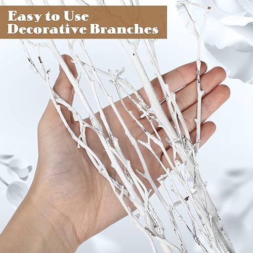Miniatura 6 de 40 ramas de abedul blanco natural de 29 pulgadas de alto, abedul pintado para relleno de jarrón, paquete de 20 a 25 tallos de ramas blancas largas