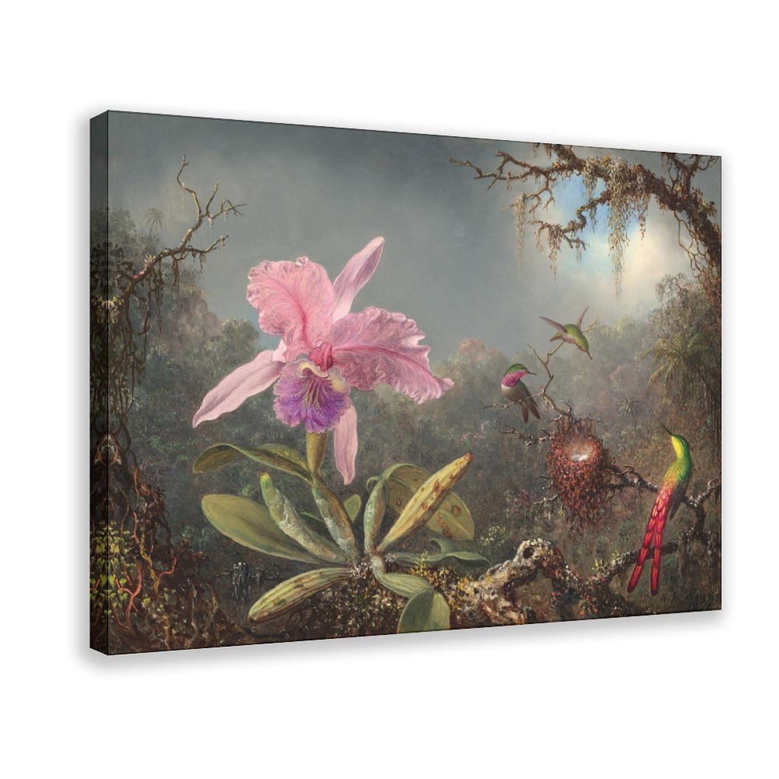 DFJyjFGJJ Martin Johnson Heade,Cattleya Orchid And Three Hummingbirds Canvas Poster And Wall Art Picture Print Modern Family Bedroom Decor 12" L X 18" W