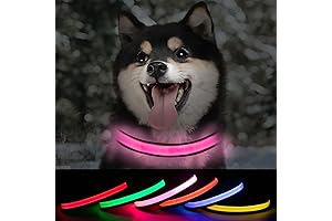 Small Light Up Dog Collar: Glow Dog Collars for Night Walking