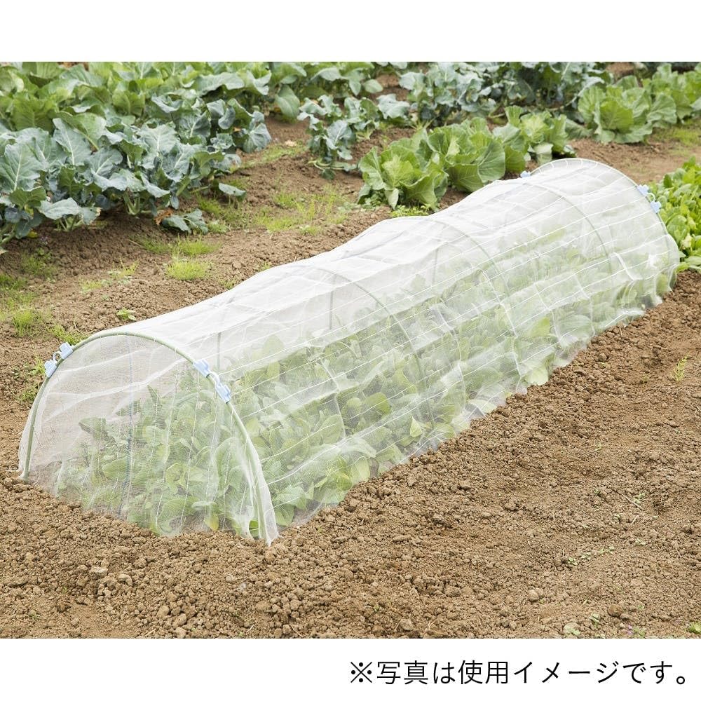 Amazon.co.jp: カインズ(CAINZ) 防虫ネット 幅1.35m 長さ2m 目合