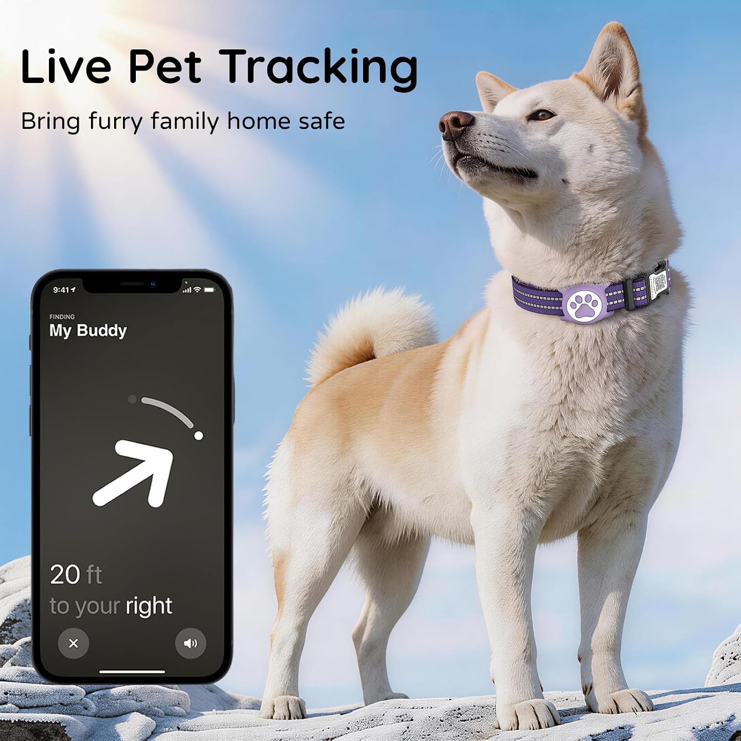 Waterproof AirTag Dog Collar with QR Code Dog Tag, Purple M image 5