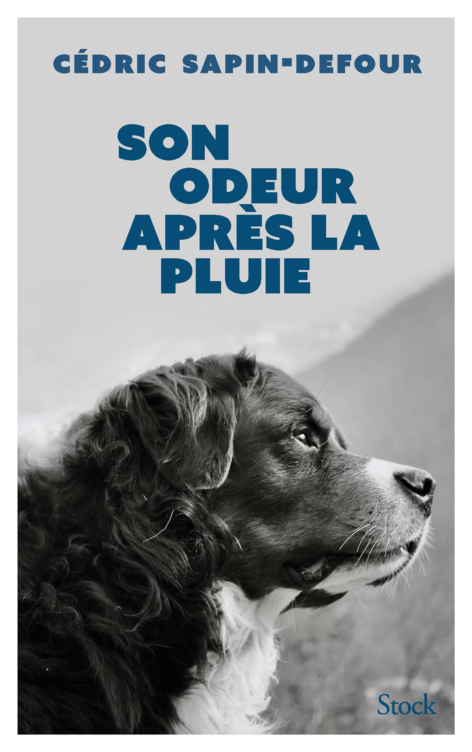 Amazon.fr Son odeur après la pluie SapinDefour, Cédric Livres