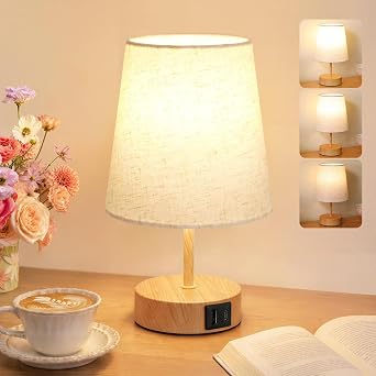 Touch Lamps Bedside, Table Lamp for Bedroom with Dual USB Charging Ports [Energy Class F]