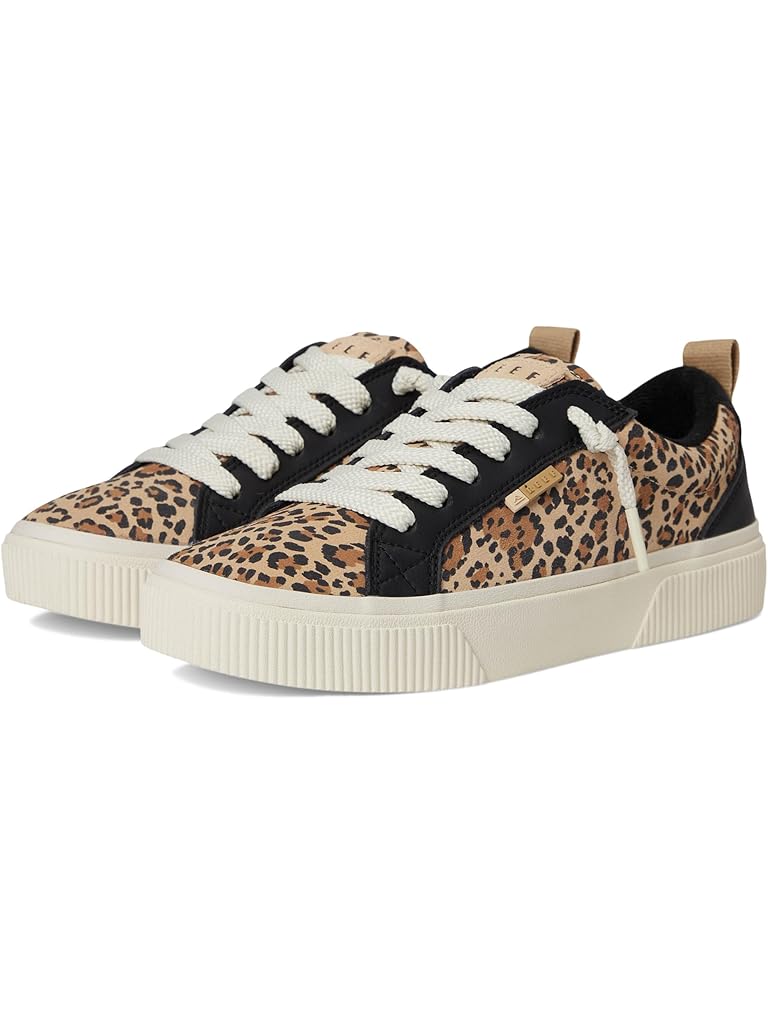 Multi Reef Lay Day Dawn