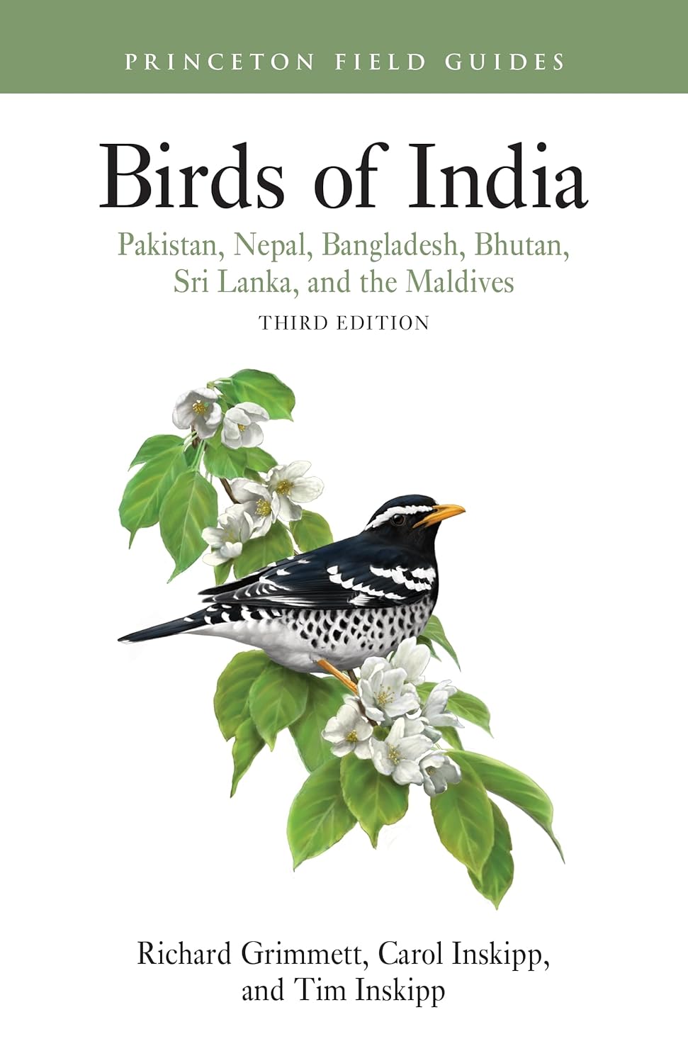 Birds of India: Pakistan, Nepal, Bangladesh, Bhutan, Sri Lanka, and the Maldives - Third Edition (Princeton Field Guides)      Paperback – March 24, 2026
