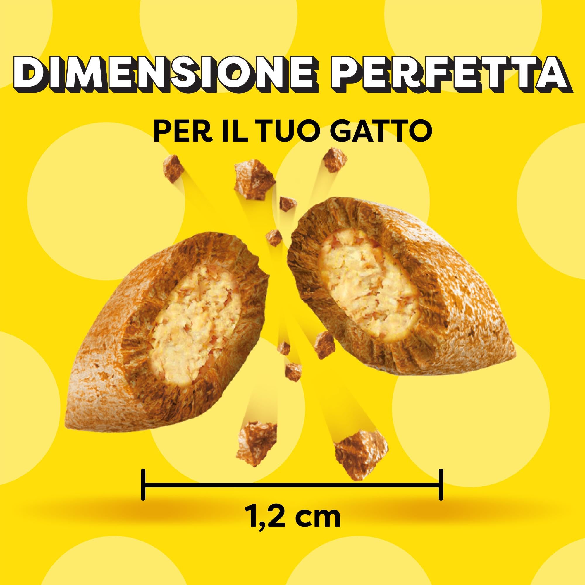Catisfactions Snack per Gatto, Confezione mista Pollo Formaggio Salmone, 12 x 60 g