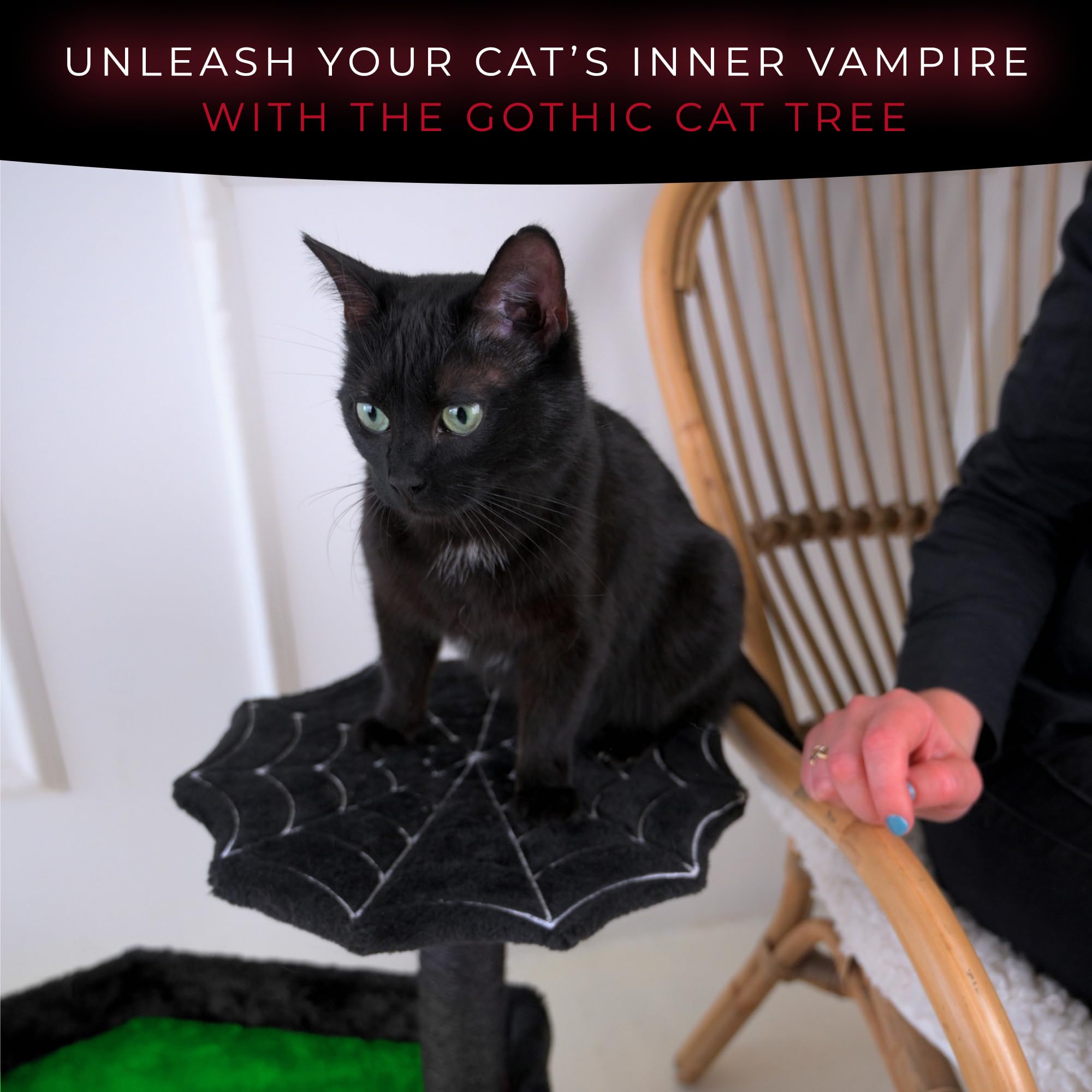 Halloween-Katzenbett Mit Verstellbarer Liege – Gothic-Design In Schwarz-Rot