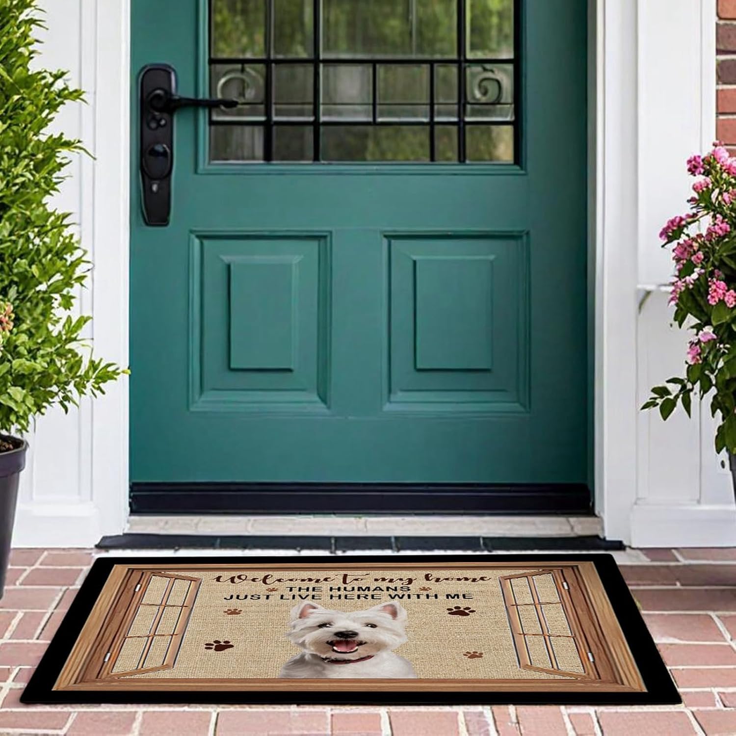 Welcome to My Home Funny Doormat Shih Tzu Dog Decor Customized Floor Rug for Dog Lover, 23.6x15.7 Inches