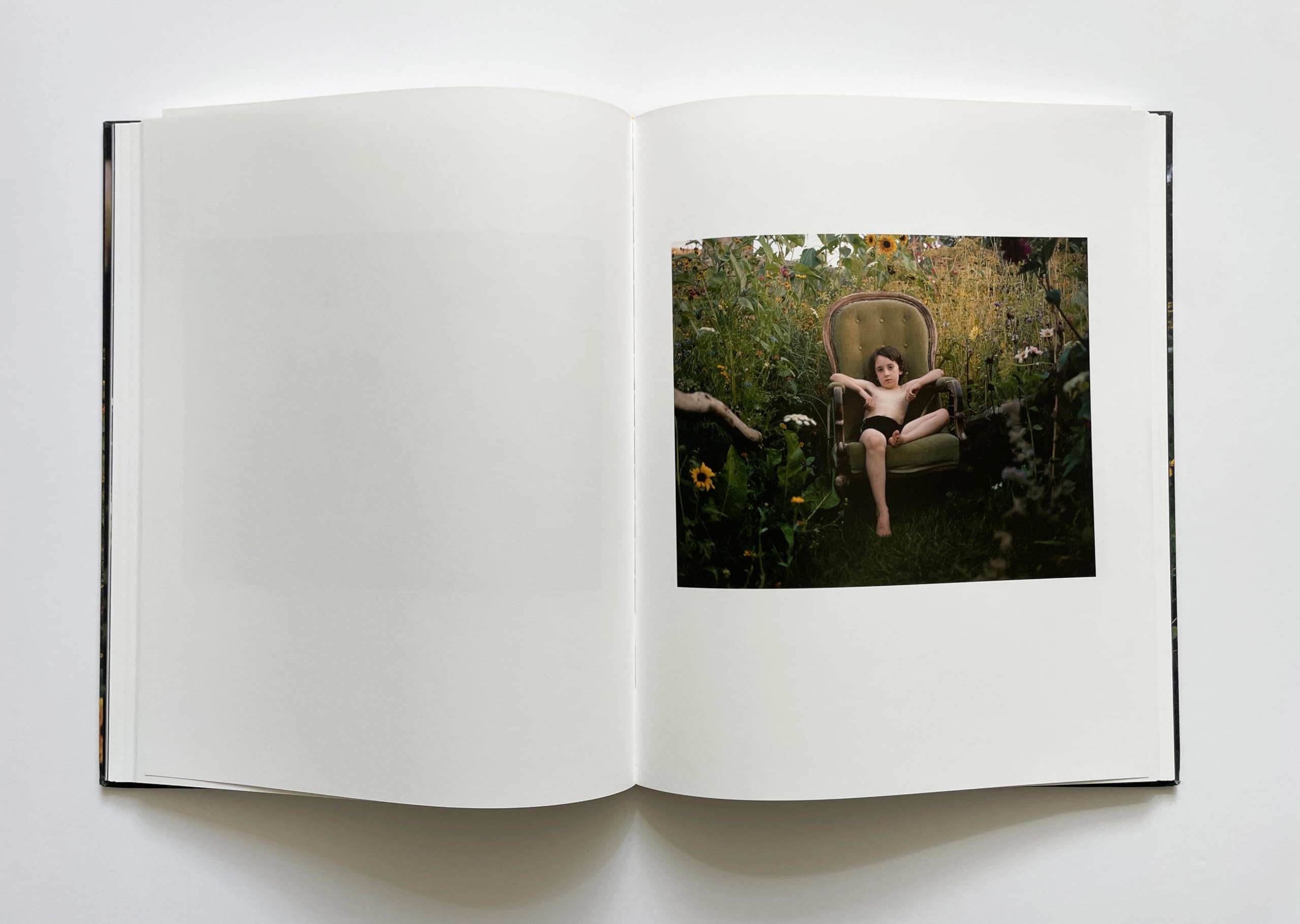 SiAn Davey: The Garden /anglais