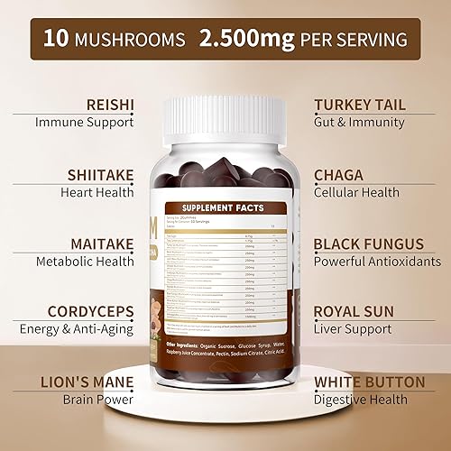 Miniatura 2 de BEIMIC Gomitas complejas de hongos - Suplemento de hongos 10 veces con Ashwagandha y melena de león (120 masticables) Suplemento cerebral