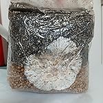 Review Image by Cody McAdam a.k.a. Caribbean Cody