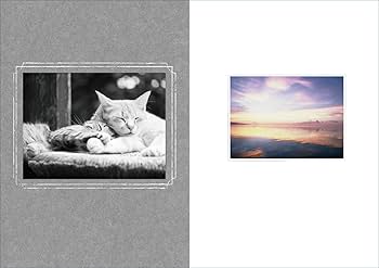 猫写真家・関由香写真集 ねこうらら | 関 由香, 玄光社 |本