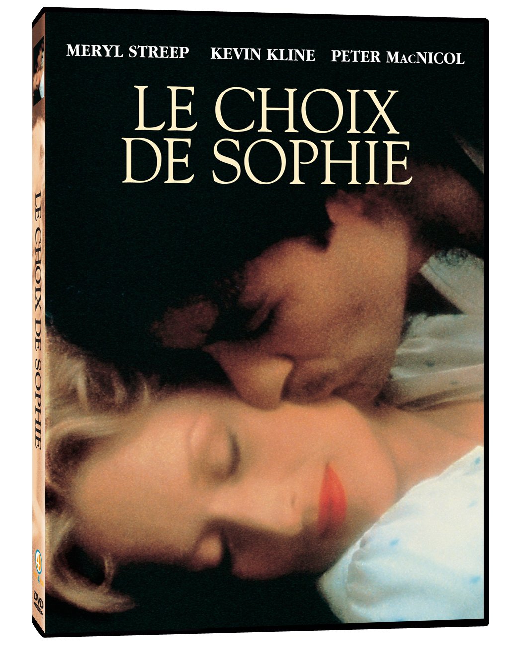 Le choix de Sophie [DVD]