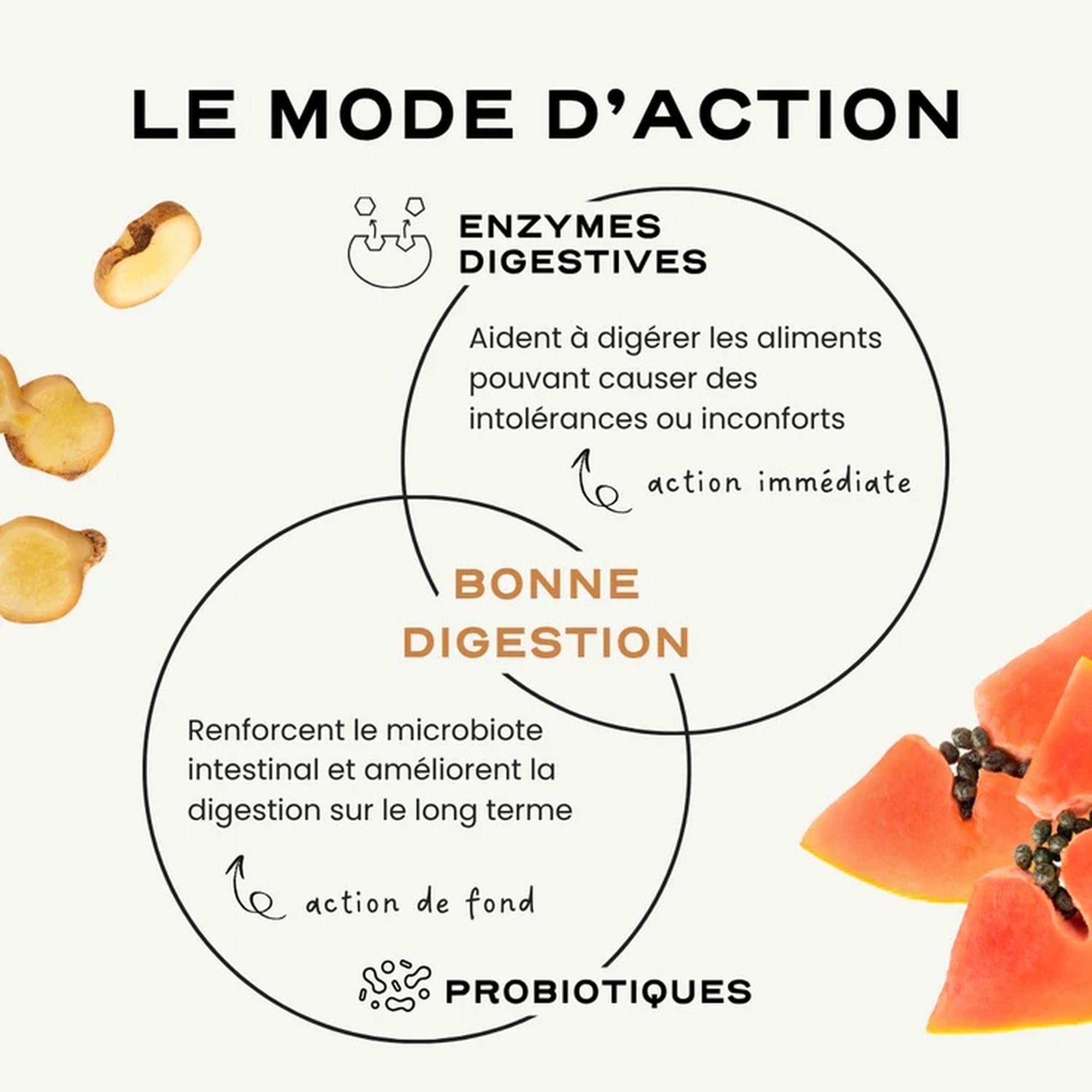Circles DIGEST Probiotique Femme Bacillus Coagulans Lactospore Enzymes Digestives DigeZyme Flore Intestinale 60 Gélules Vegan