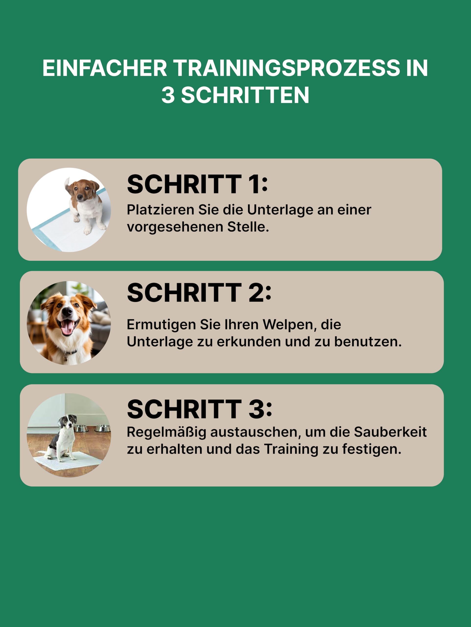 Hundetoilette Trainingspads | Hochsaugfähige Pipi Matten für Hunde | 2-Polymer-Technologie | Geruchsneutralisierend & Rutschfest Welpen Unterlagen | Antibakteriell Puppy Pads | 48Stk