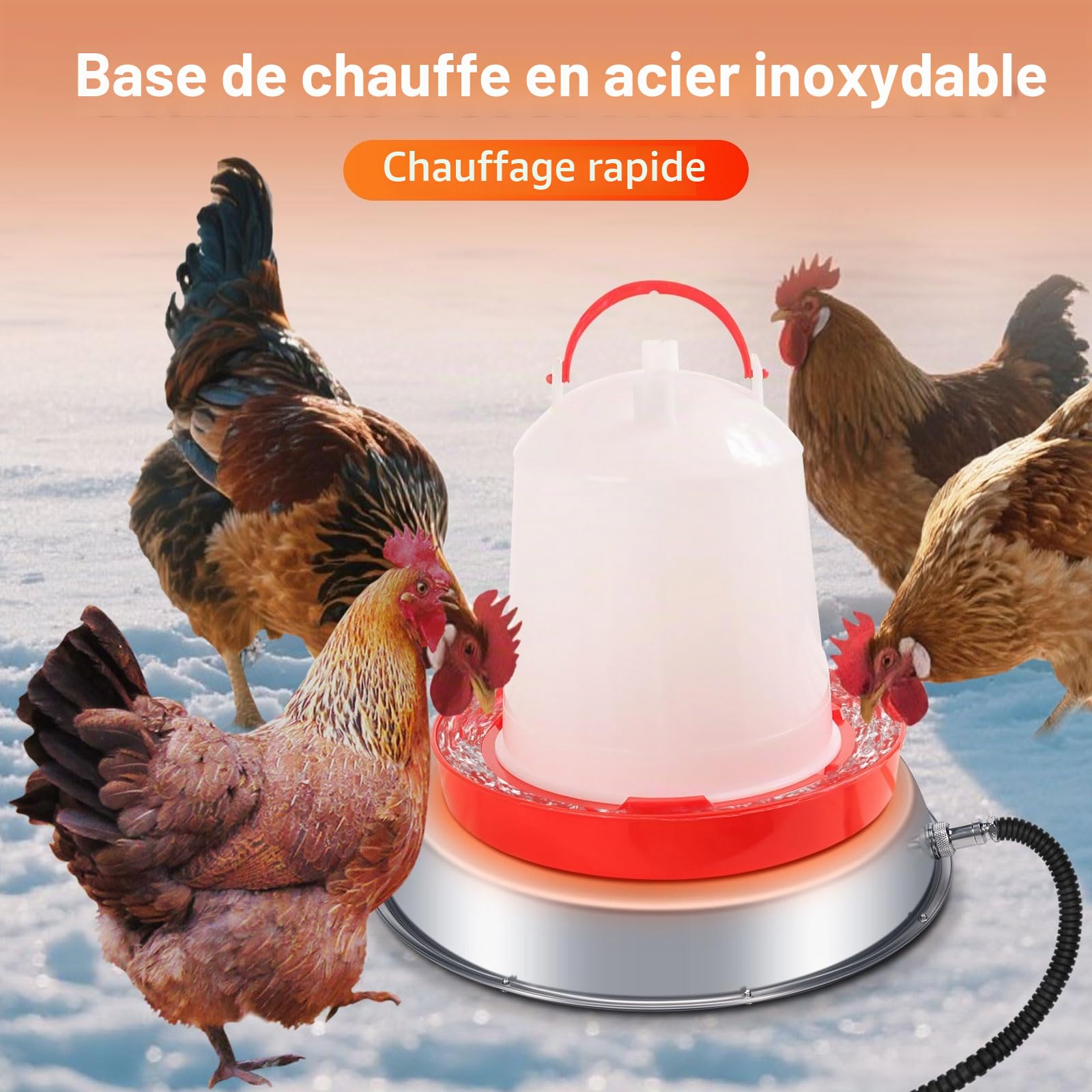 Chauffe-Abreuvoir Volaille Ø 30 cm Acier Inoxydable