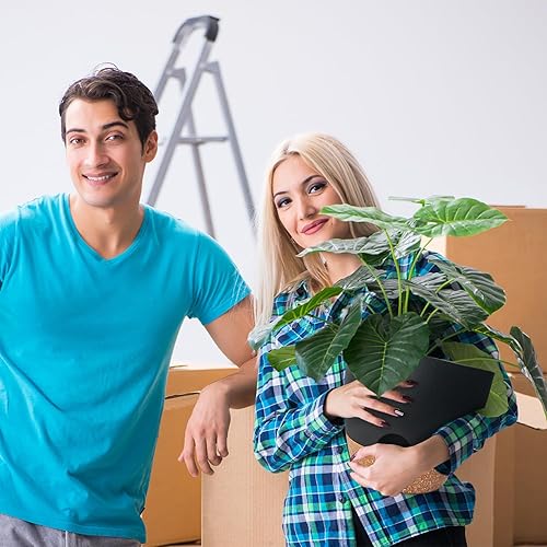 Vista 15 de Dorcy Macetero de riego automático de 12 pulgadas, macetas grandes con depósito extraíble profundo y agujeros de drenaje de malla múltiple, macetas