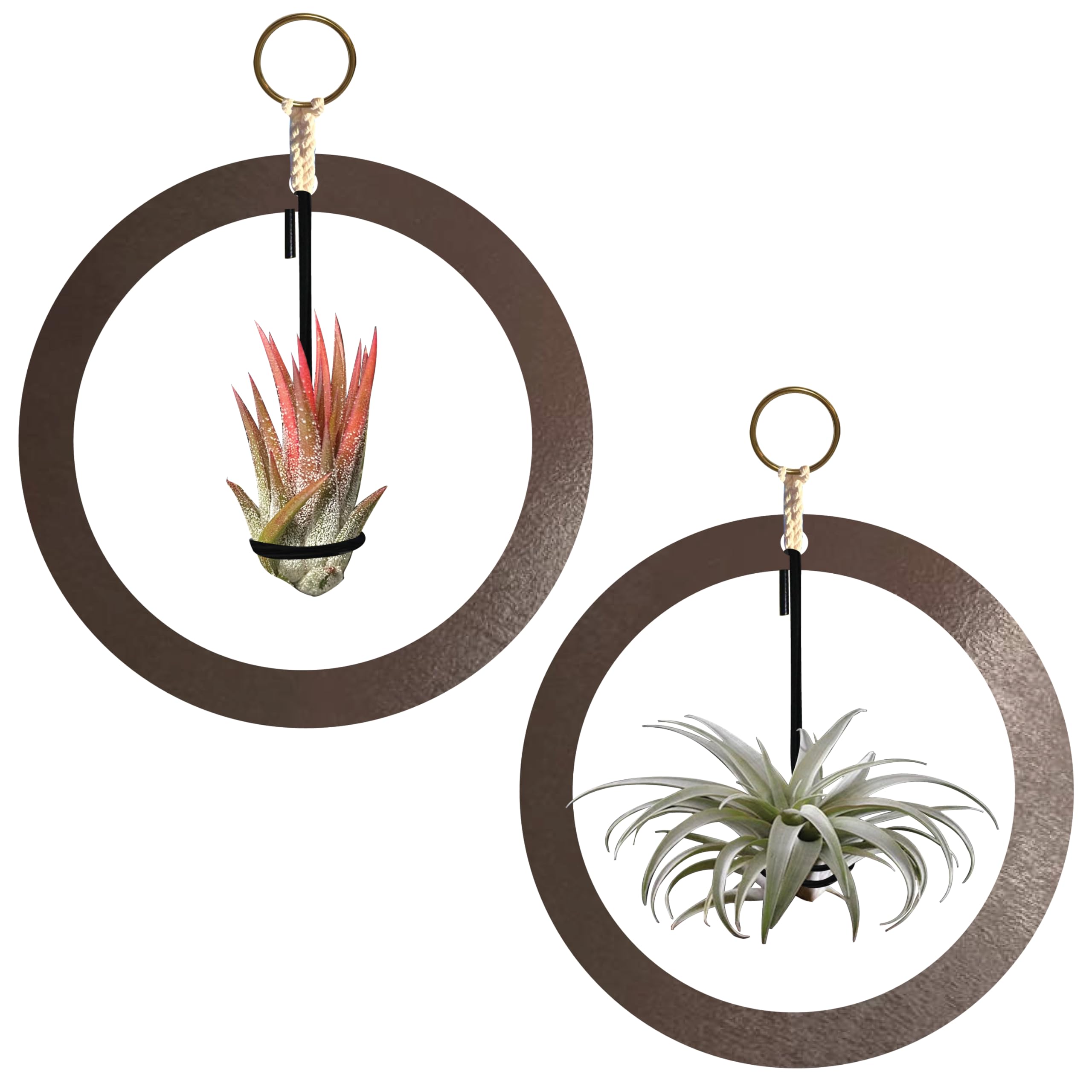 Air Plant Frame Unique Holder - Tillandsia Airplant Display Hanger Set of 2  Hanging Plant Holders for