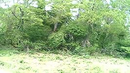 Review Image by CHRISTOPHER L REINER CHRISTOPHER L REINER