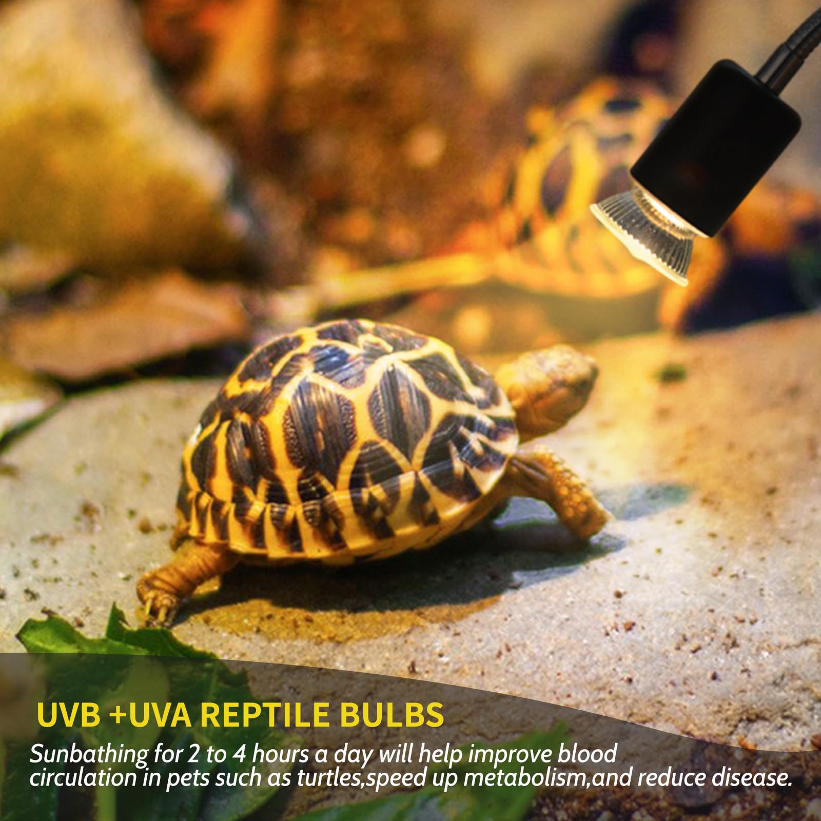 Lampadina di Riscaldamento per Rettili E27, 50W Lampada di Calore per Tartarughe UVA UVB E27 Dimmerabile, Lampada Riscaldante per Tartarughe, Acquario, Habitat per Animali Domestici, AC 230V, 2 pezzi