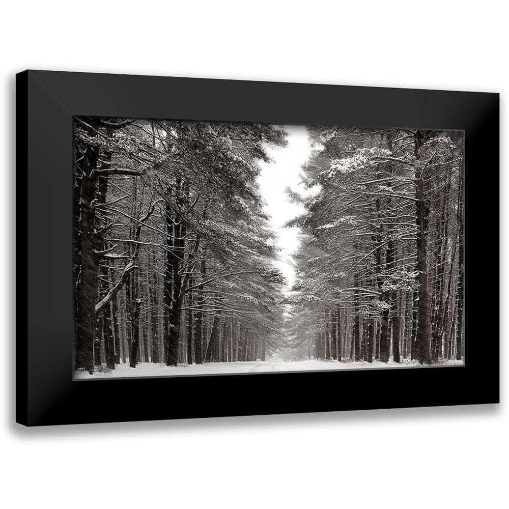 ArtDirect - McLoughlin, James 18x13 Black Modern Framed Art Print Titled: A Snowy Walk IV