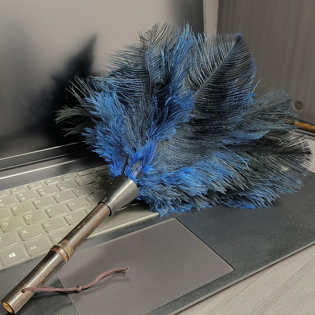 feather duster, Fluffy Dusters With Handle Use Reusable For Home, Office, Bedroom, Small Feather Duster(Blue)