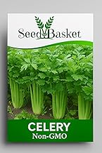 SeedBasket Celery Seeds for Home Gardening (400 Seeds with More than 70% Germination) And Instruction Manual