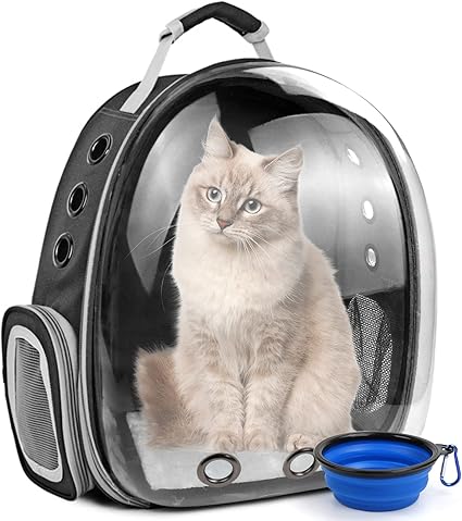 cat backpack clear