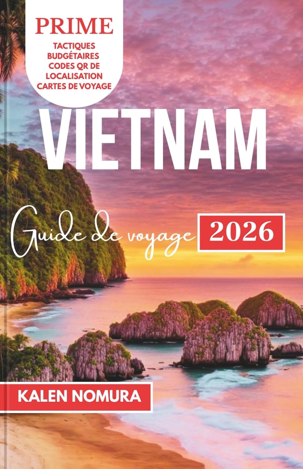 VIETNAM Guide de voyage: Rivières, îles et villes : un guide de voyage pour initiés (French Edition)