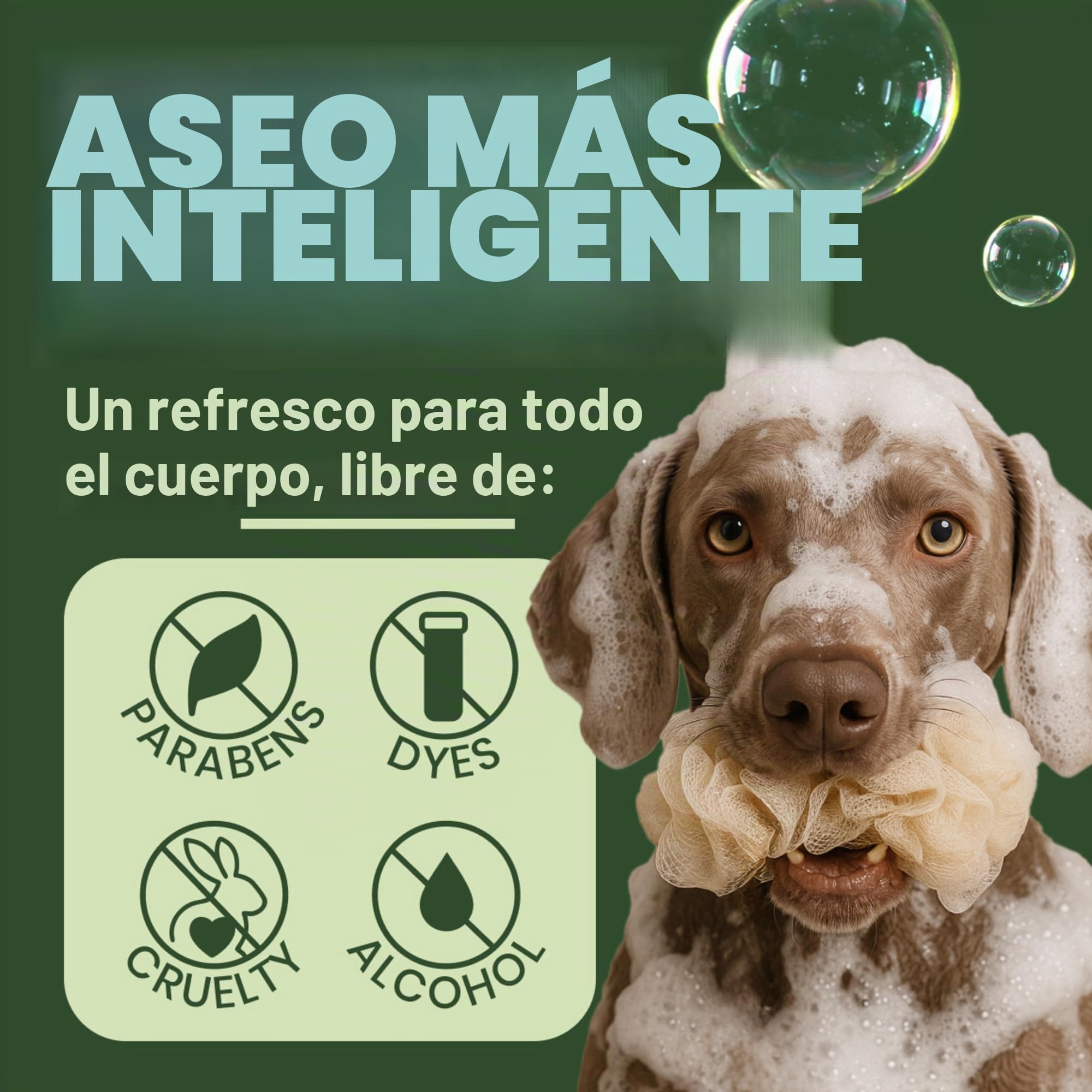 TropiClean Champú para Mascotas - Alivio Medicado de la Picazón - Exfolia, Humecta, Alivia la Piel y el Pelo Seco I Para Perros y Gatos I Sin Parabenos, Colorantes, Jabón - Avena y Árbol de Té, 3,78 L