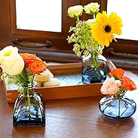 Vista 7 de Juego de 12 jarrones de cristal transparente negro, pequeños jarrones para centro de mesa, jarrones modernos a granel, mini jarrón de vidrio