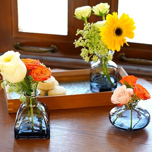 Miniatura 7 de Juego de 12 jarrones de cristal transparente negro, pequeños jarrones para centro de mesa, jarrones modernos a granel, mini jarrón de vidrio para