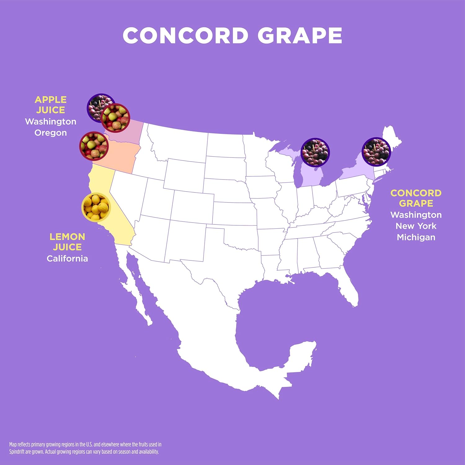 Spindrift "Concord Freeze" Grape Soda Made With Real Squeezed Fruit 12 Pack Case