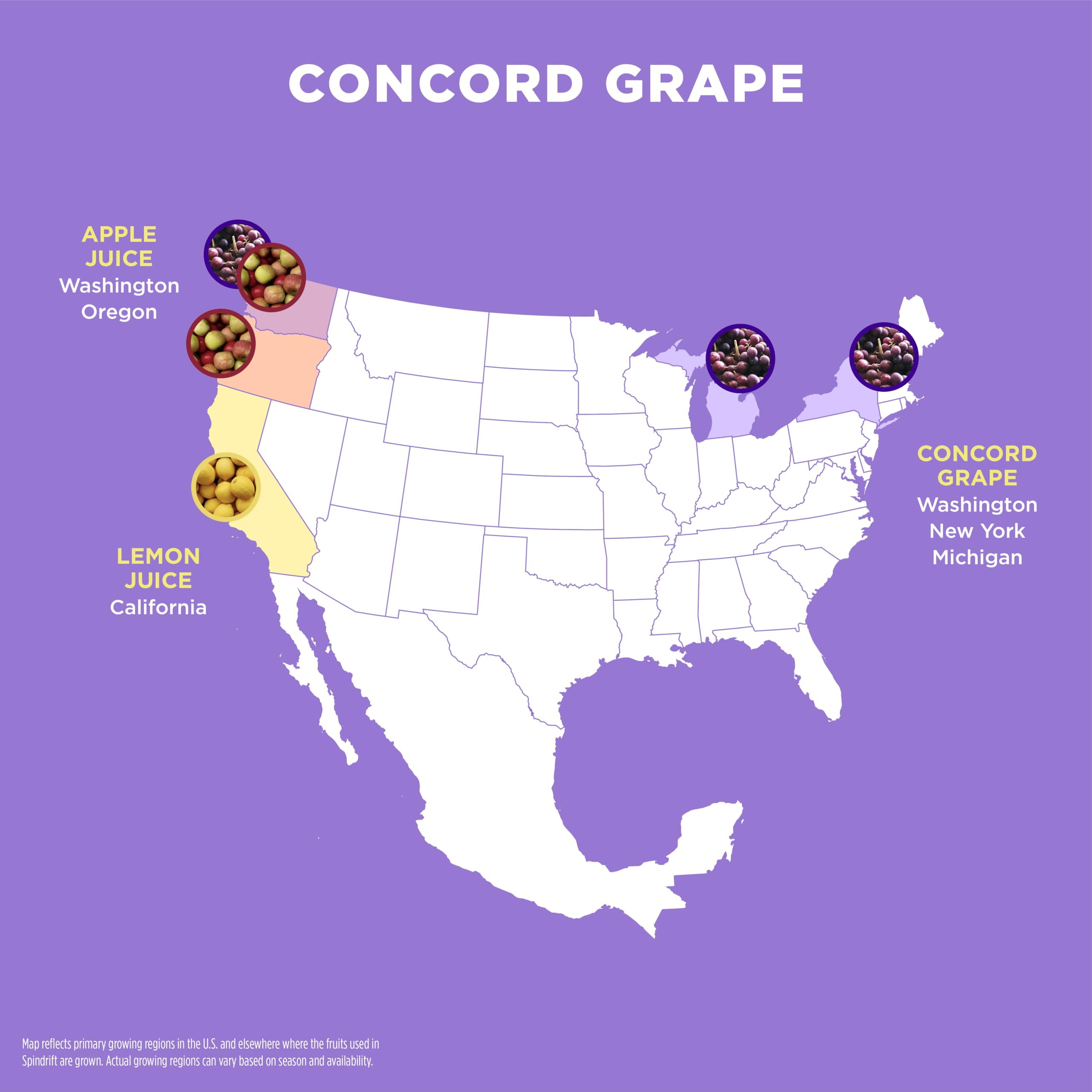 Spindrift "Concord Freeze" Grape Soda Made With Real Squeezed Fruit 12 Pack Case