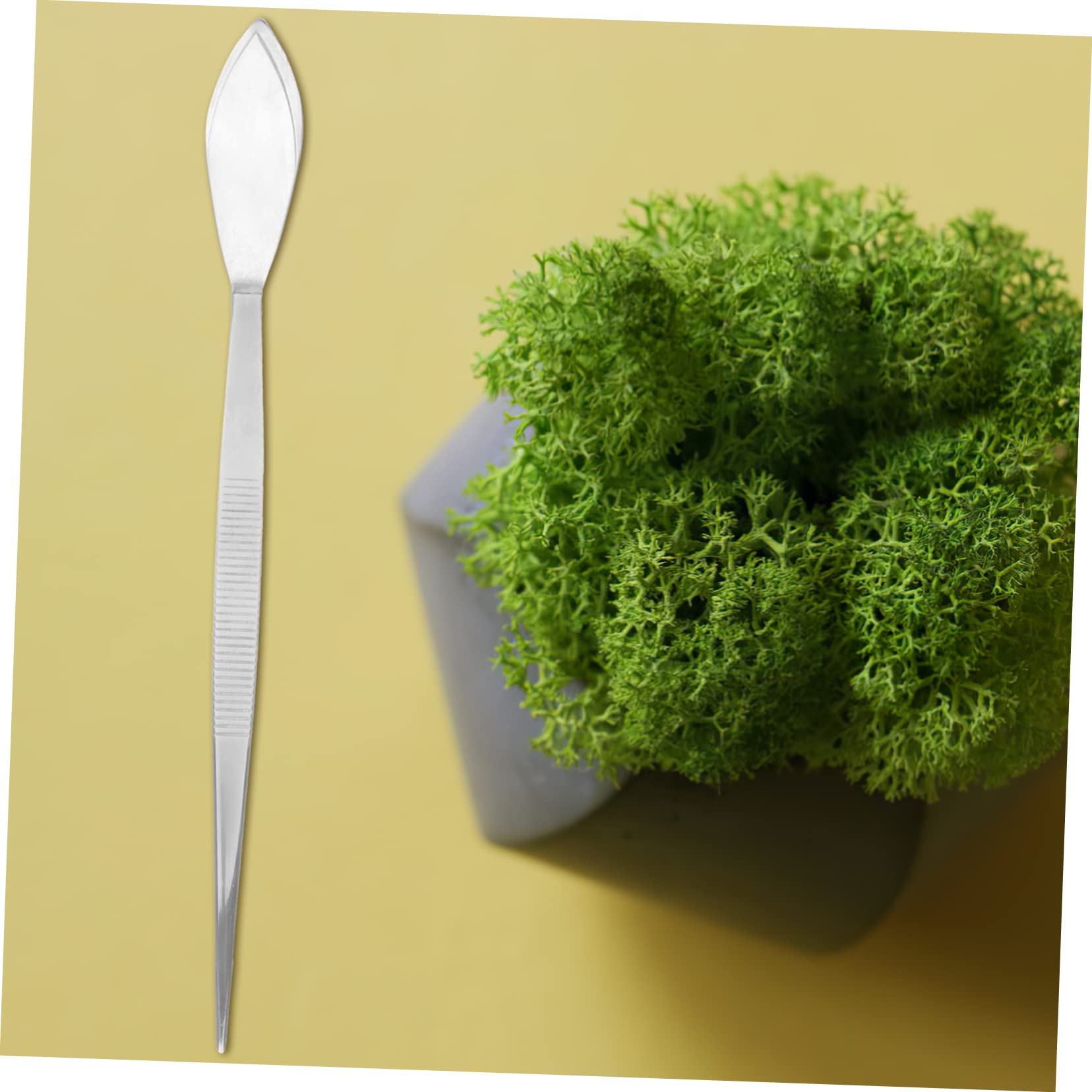 Toddmomy 4 Pezzi Pinzetteri pinzette dritte pinzette per spatole per bonsai pinzette per piante attrezzi per bonsai pinzette per modellare Must Garden Tintezers Acciaio inossidabile Argento